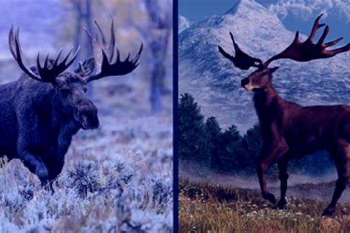 Pirots 3 vs Pirots 4: Comparing ELK s Avian Slot Heavyweights
